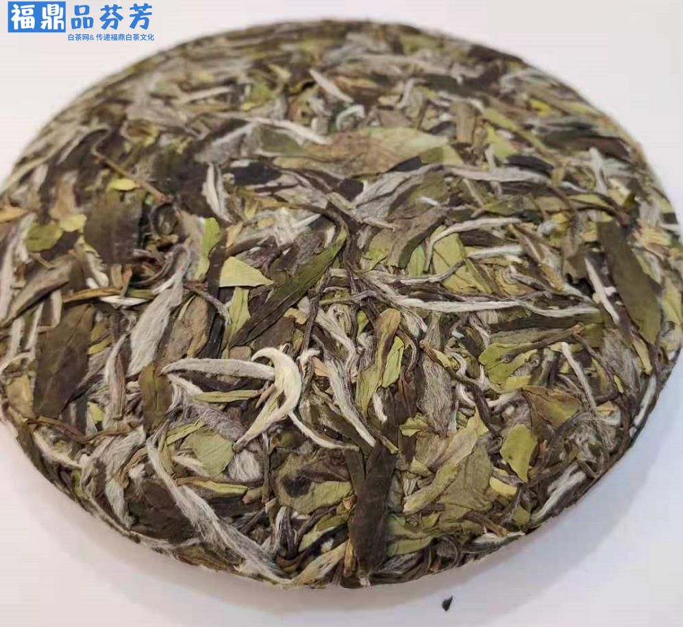 寿眉是白茶吗？它是什么品种？(图1)
