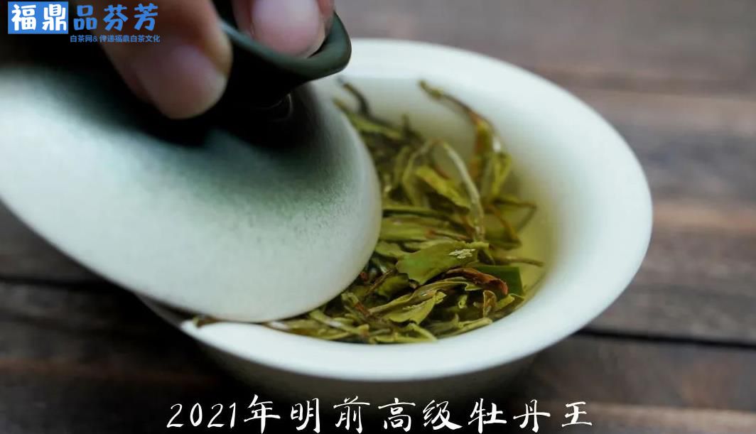 白茶易碎是因为茶叶质量差吗？(图3)