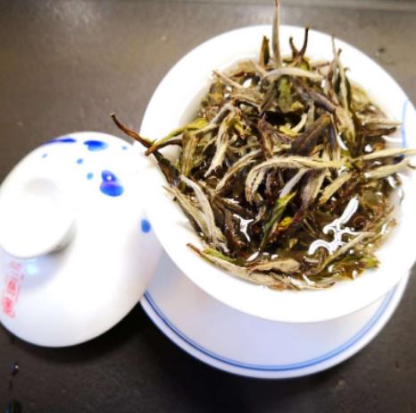福鼎白茶制作方法是六大茶类里最简单，活性保留最全