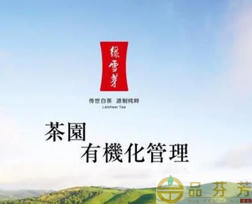 白茶品牌：福建绿雪芽茶业有限公司