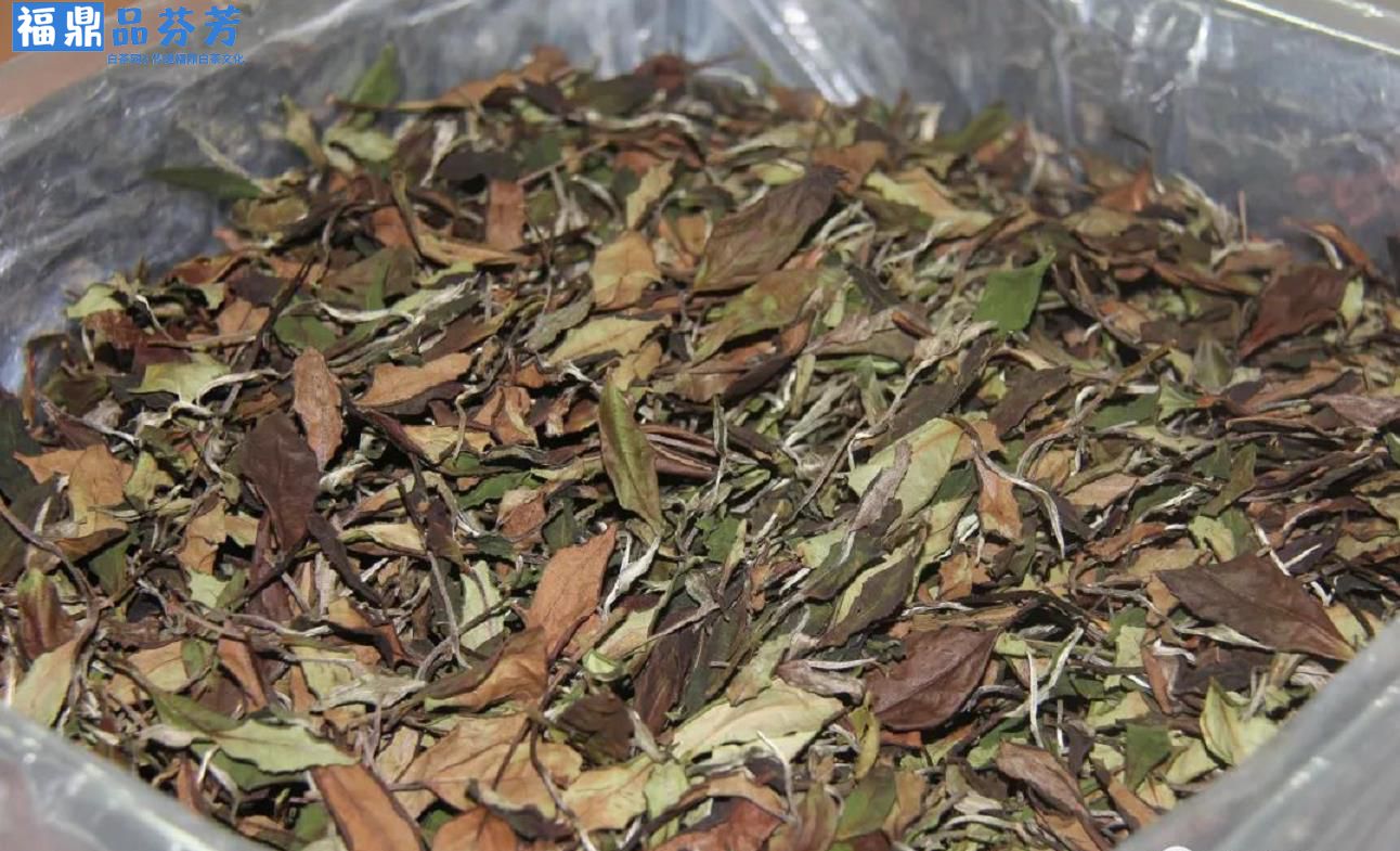 粗枝大叶的寿眉就是不好的白茶？