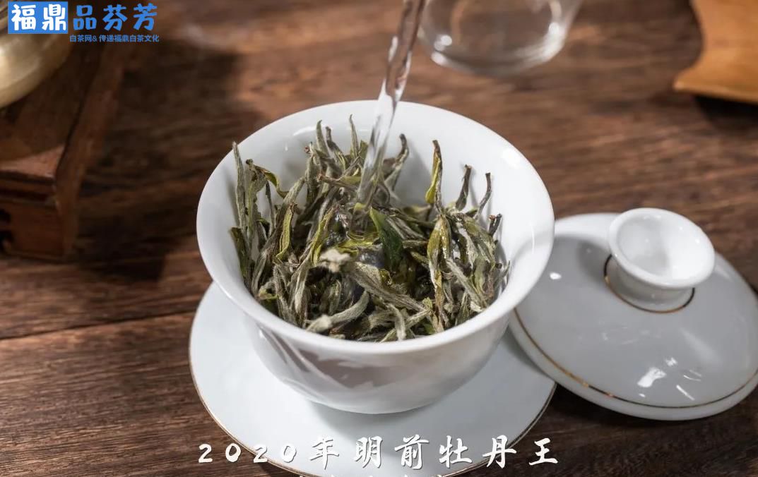 春茶季节，早上市的春白茶能买吗？(图2)