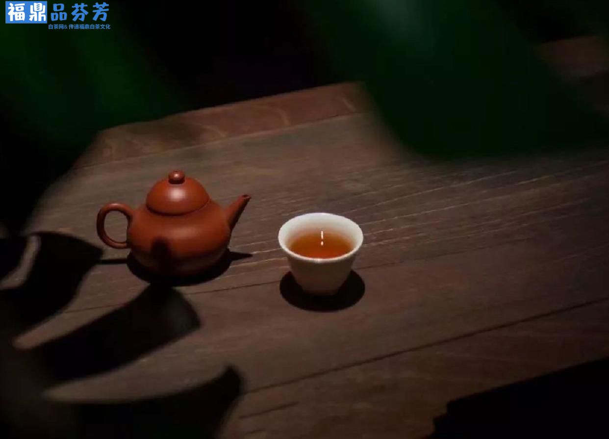 福鼎白茶可以用紫砂壶泡吗？