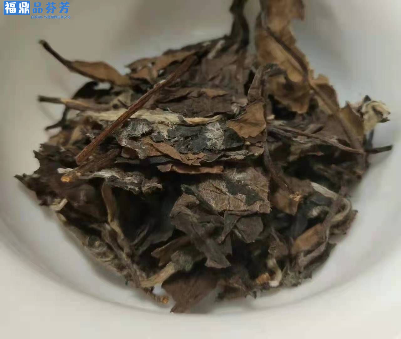 秋茶中的白露寿眉，价值是不是很不堪？