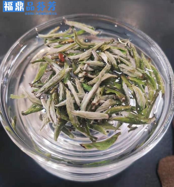 白毫银针不适合用于煮茶，只有寿眉才合适煮着喝？