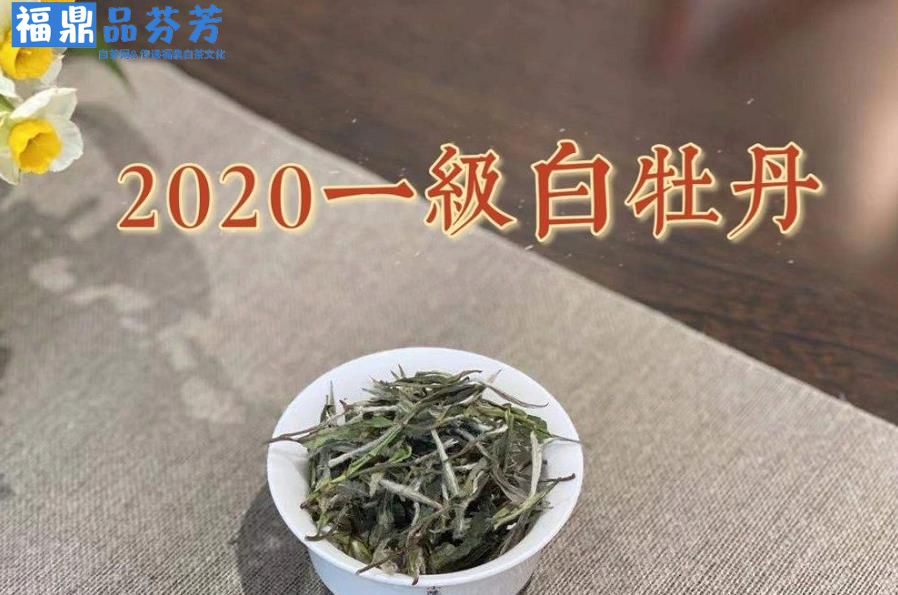 白茶属于微发酵茶，绿茶属于非发酵茶(图1)